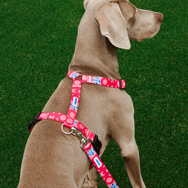 H Pink Harness Como 1907