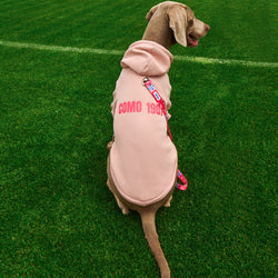 Pink Dog Hoodie Como 1907