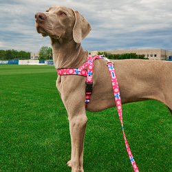 Pink Norwegian Harness Como 1907