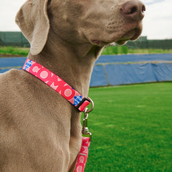 Como 1907 Pink Collar For Dog