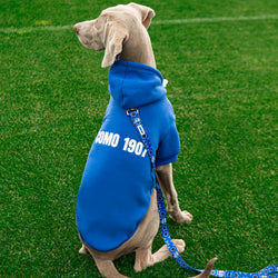 Blue Dog Hoodie Como 1907