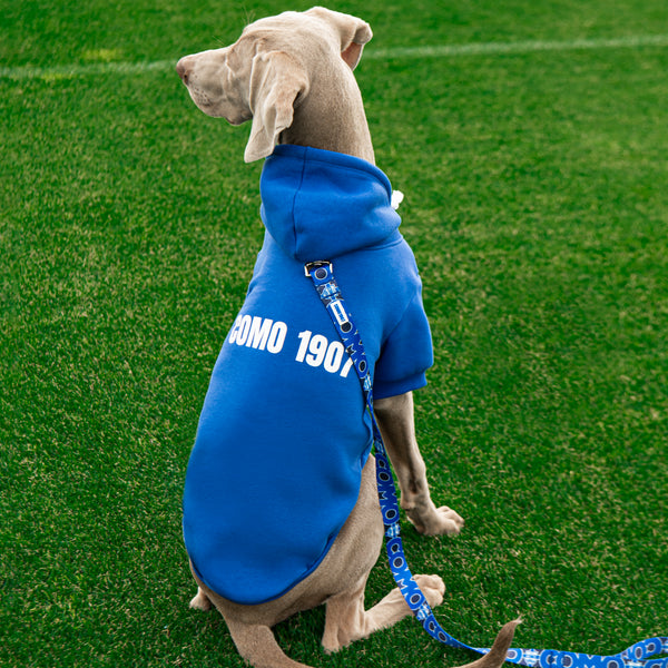 Blue Dog Hoodie Como 1907