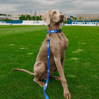 Regular Blue Leash For Dog Como 1907