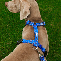 Pettorina H Cani Blu Como 1907
