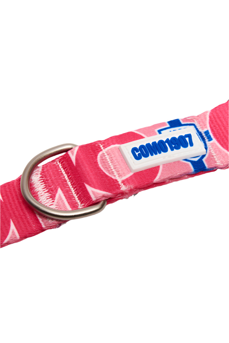 Como 1907 Pink Collar For Dog