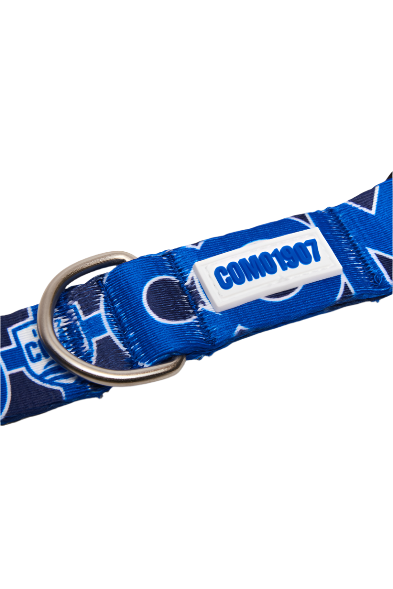 Como 1907 Blue Collar For Dog