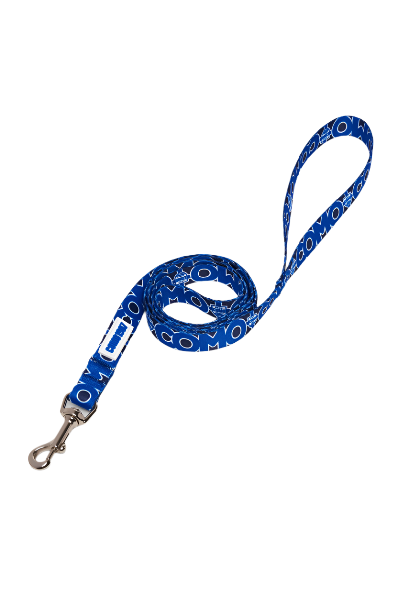 REGULAR BLUE LEASH FOR DOG COMO 1907