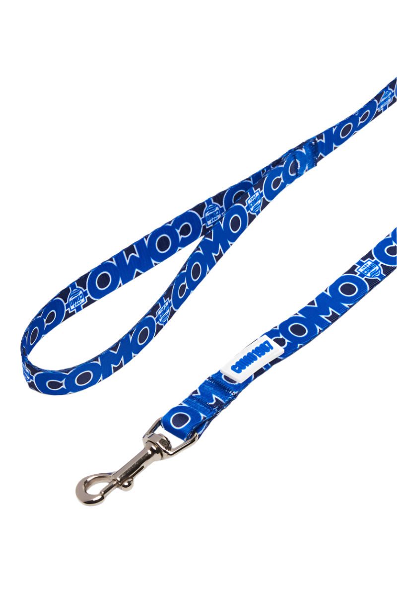Regular Blue Leash For Dog Como 1907