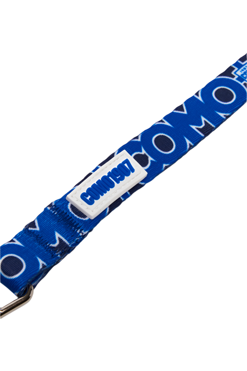 Regular Blue Leash For Dog Como 1907