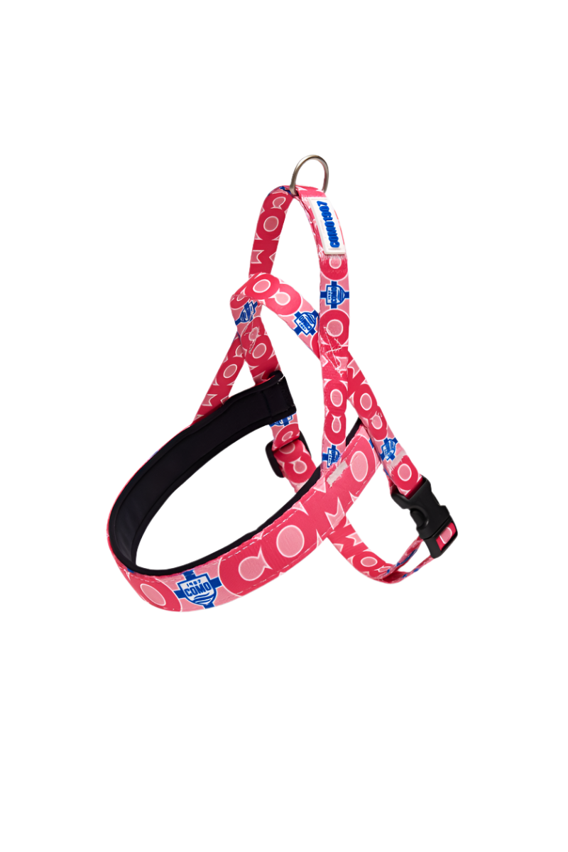 PINK NORWEGIAN HARNESS COMO 1907