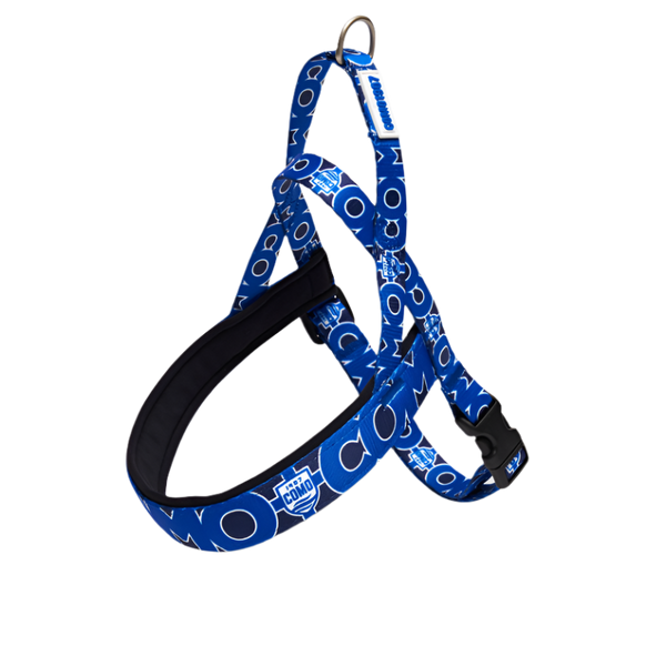 Blue Norwegian Harness Como 1907