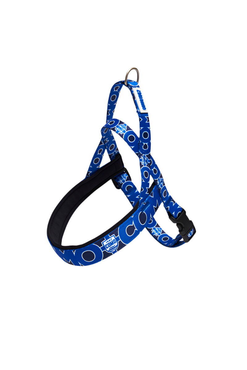 Blue Norwegian Harness Como 1907