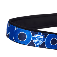 Blue Norwegian Harness Como 1907