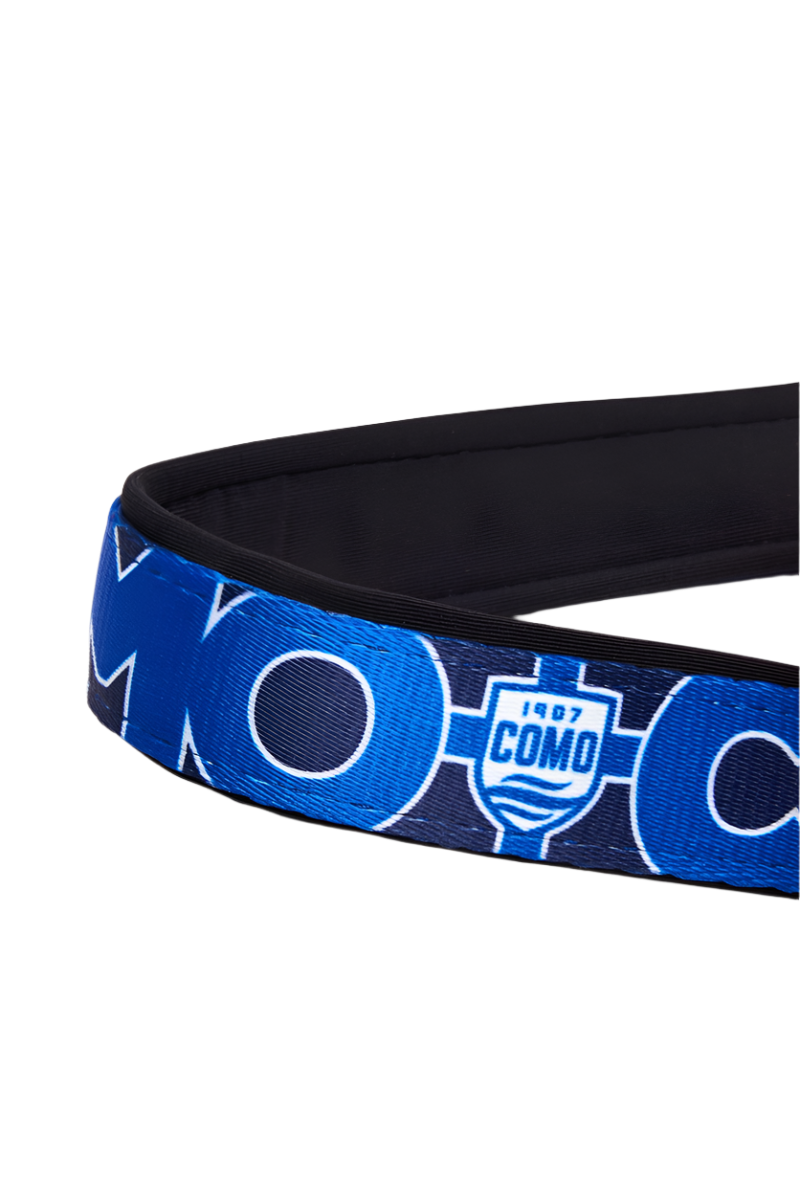Blue Norwegian Harness Como 1907