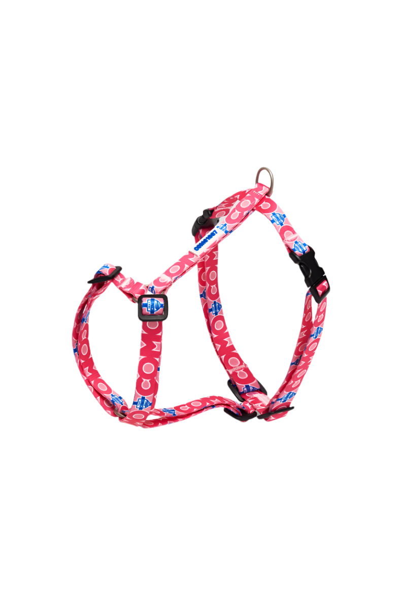 Pettorina H Cani Rosa Como 1907