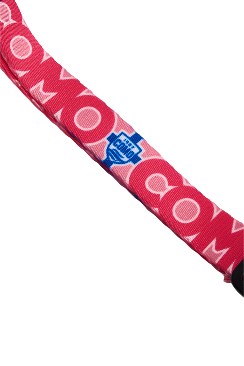 Pettorina H Cani Rosa Como 1907