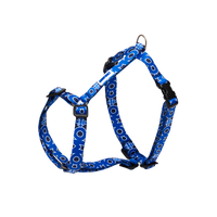 Pettorina H Cani Blu Como 1907