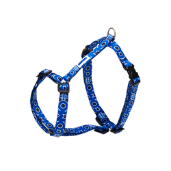 H Blue Harness Como 1907