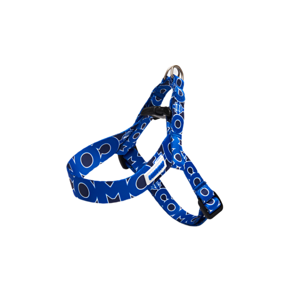 Blue Adjustable Mini Harness Como 1907