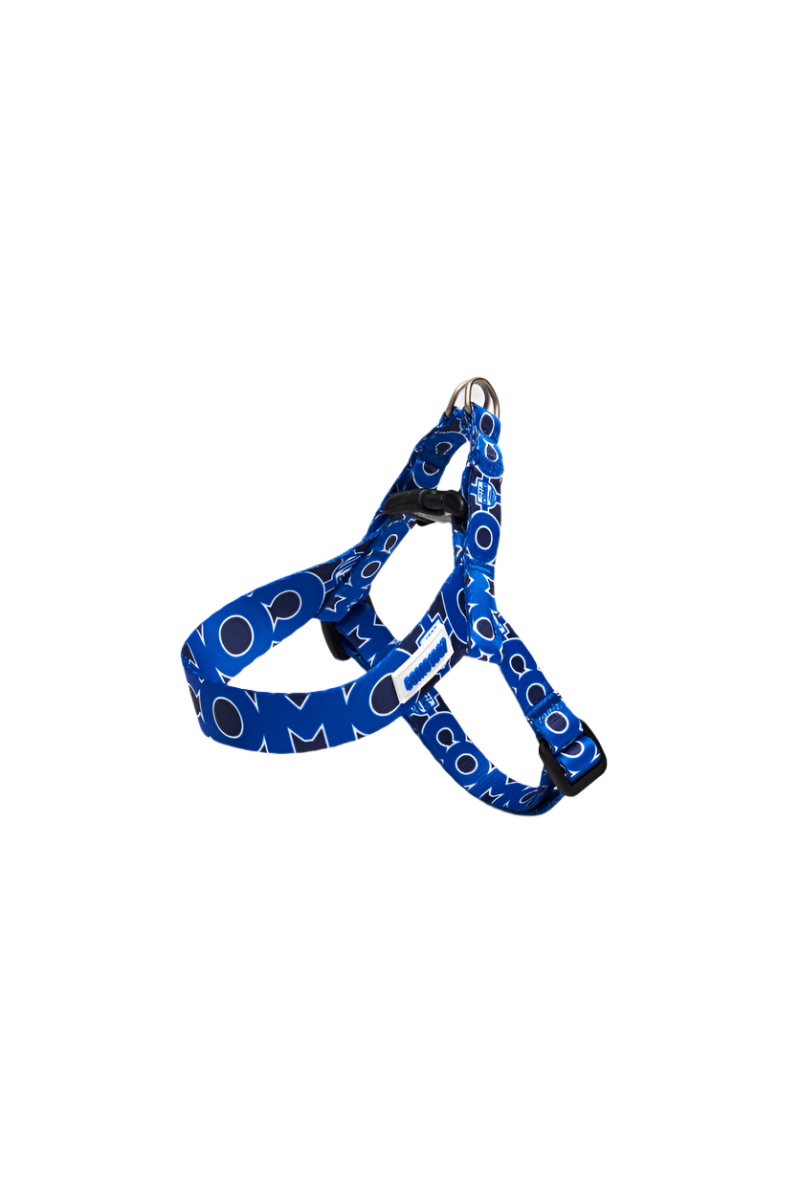 BLUE ADJUSTABLE MINI HARNESS COMO 1907