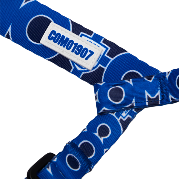 Blue Adjustable Mini Harness Como 1907