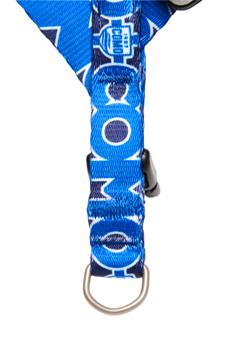 Pettorina Mini Regolabile Cani Blu Como 1907