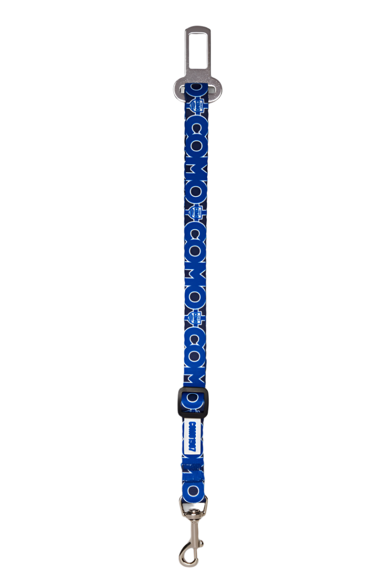 Blue Seat Belt Como 1907
