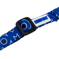 Blue Seat Belt Como 1907