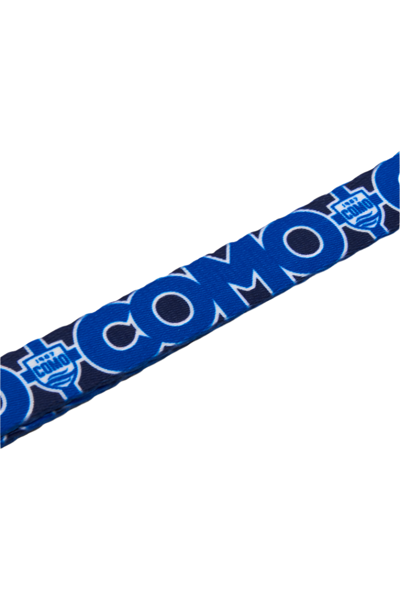 Blue Seat Belt Como 1907