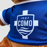 Como 1907 Teddy bear