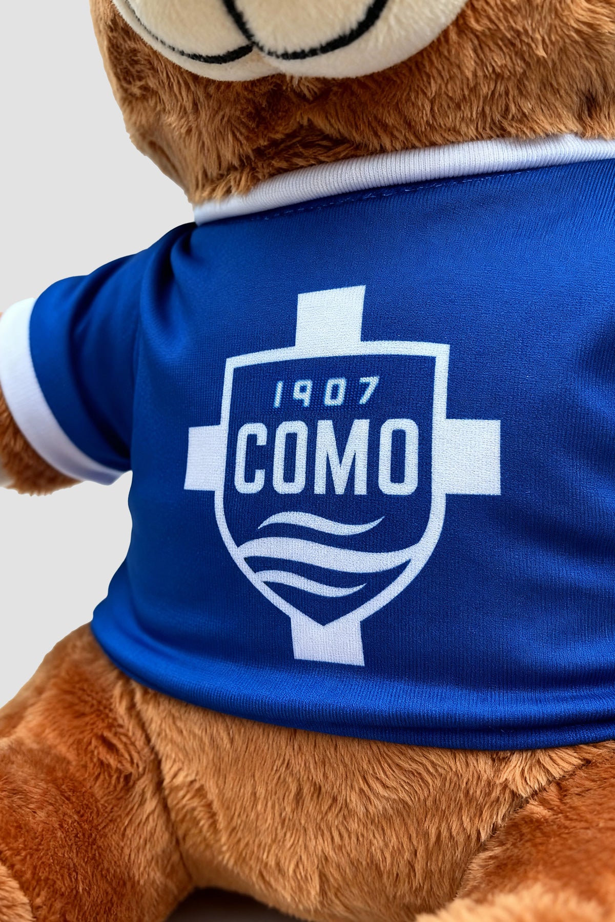 Como 1907 Teddy bear