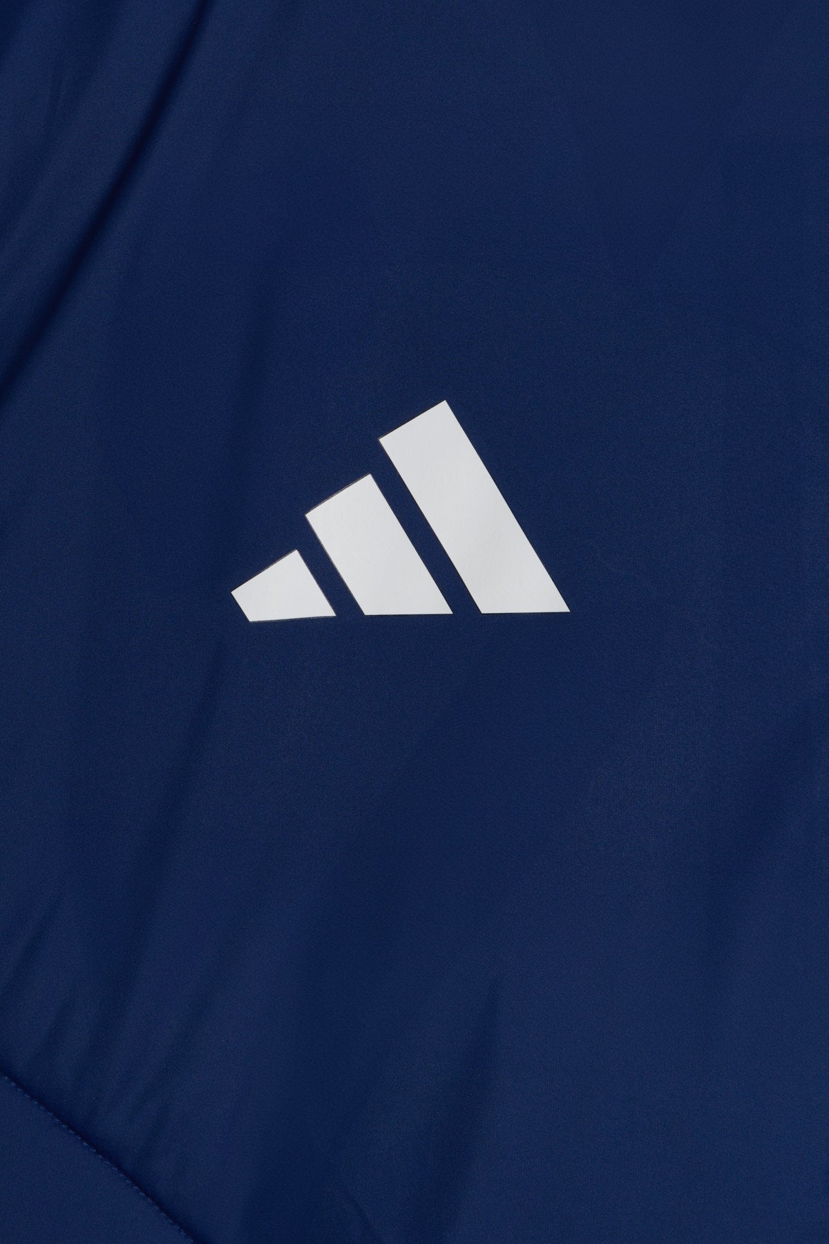 Training Vest 2024/2025 Como 1907