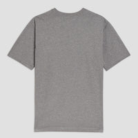 Adidas X Como 1907 T-Shirt Uomo Grigia