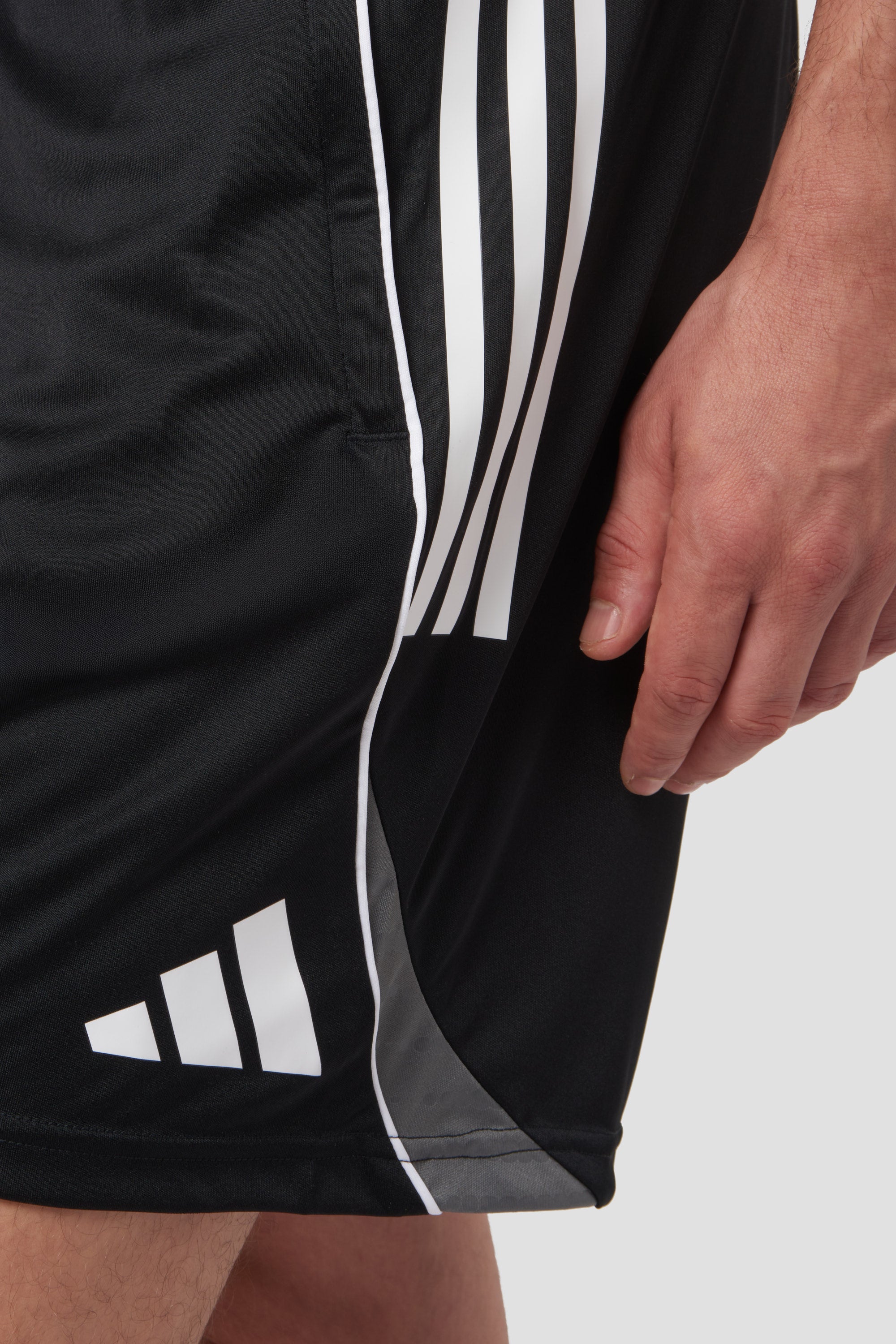 Como 1907 Pantaloncini Allenatore 2025/26
