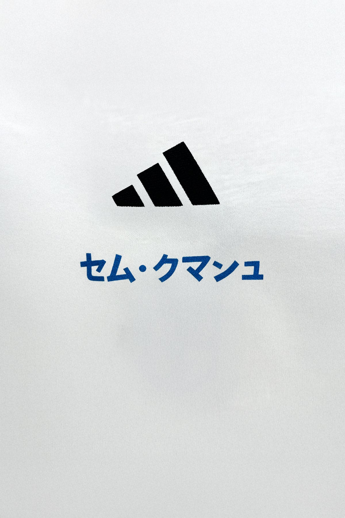 Semm Cumasch Japan Mountain Adidas T-shirt