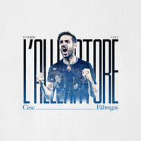 Cesc Fàbregas Player's Collection T-shirt