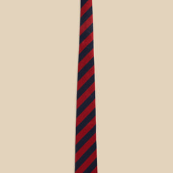 Silk Regimental Tie V1