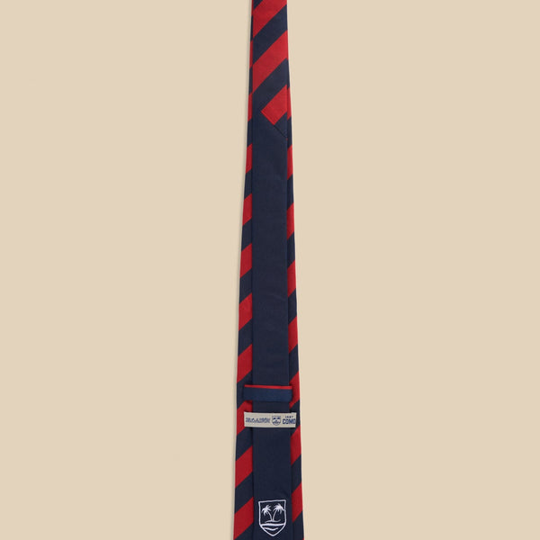 Silk Regimental Tie V1