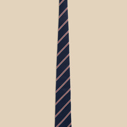Silk Regimental Tie V2