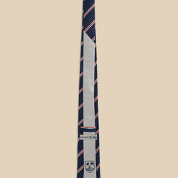 Silk Regimental Tie V2